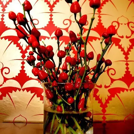 25精品酒店 招待所 斯基普顿