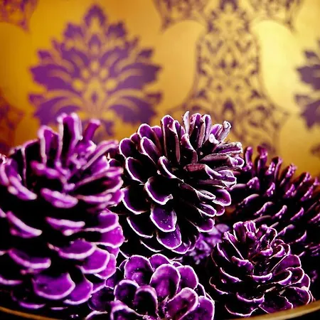 Pensionat Boutique 25 3*