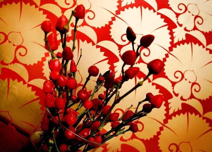 Vendégház Boutique 25 3*