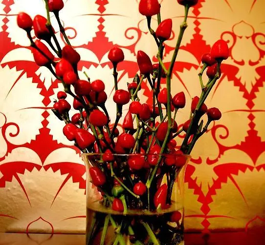 Boutique 25 Guest house Skipton