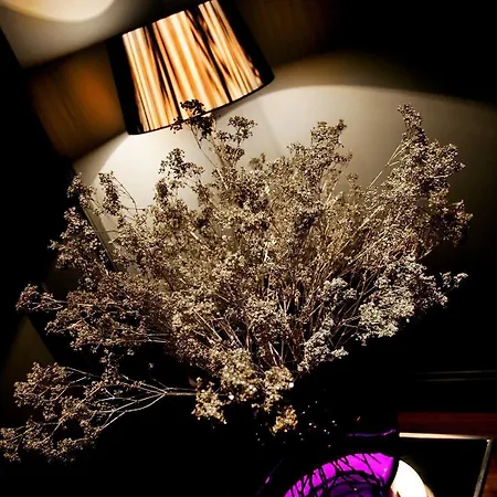 Boutique 25 سكيبتون