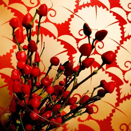 بيت ضيافة Boutique 25 3*